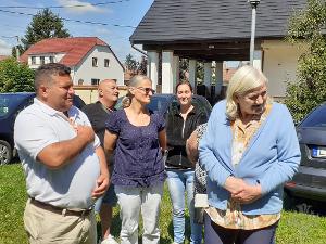szirmabesenyő