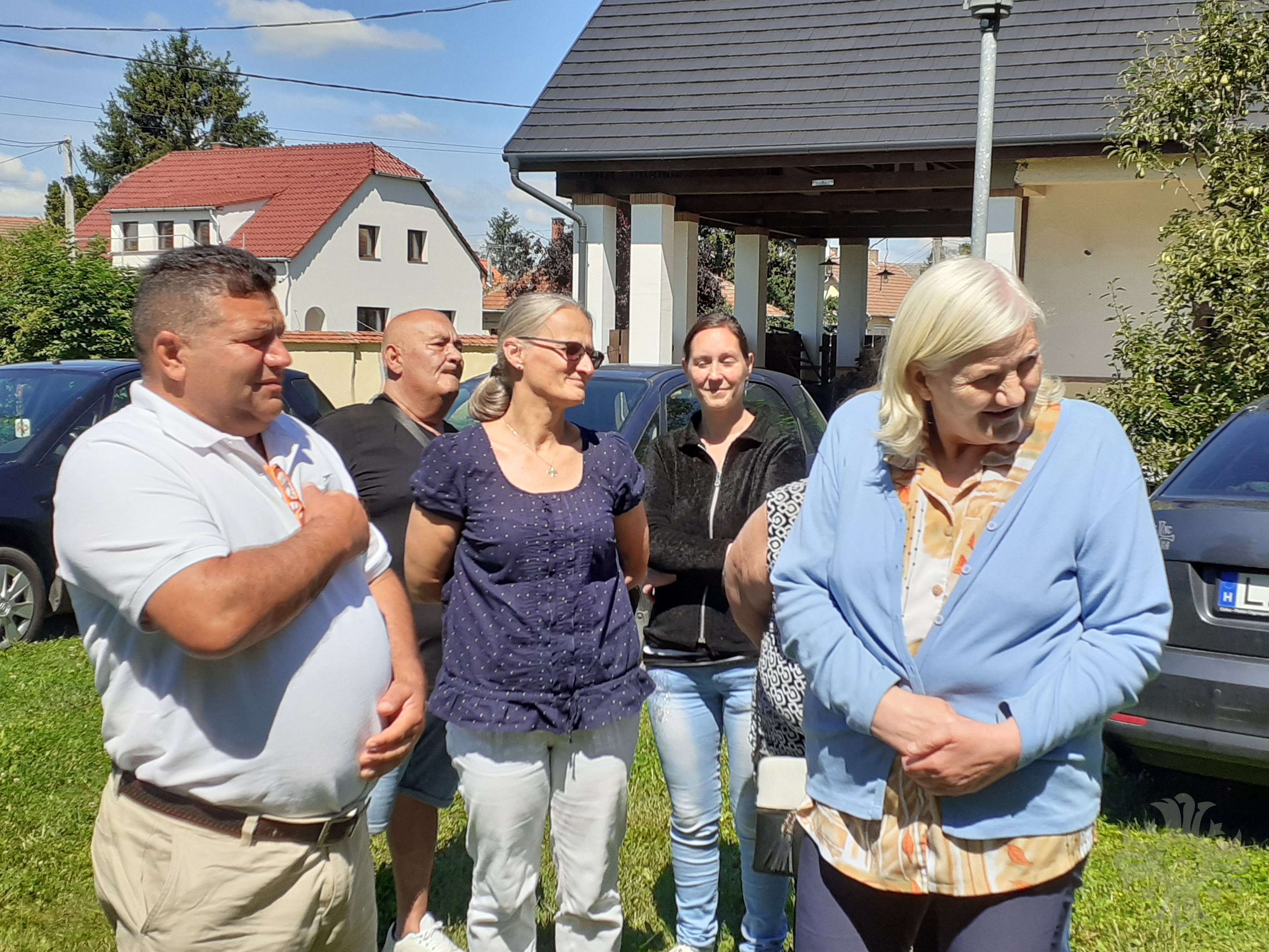 szirmabesenyő